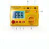 Insulation Resistance Meter allsun Digital 1000V-4