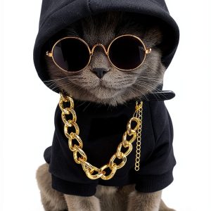 Dog Hoodie QWINEE 3-Piece Costume Set with Necklace & Sunglasses-0
