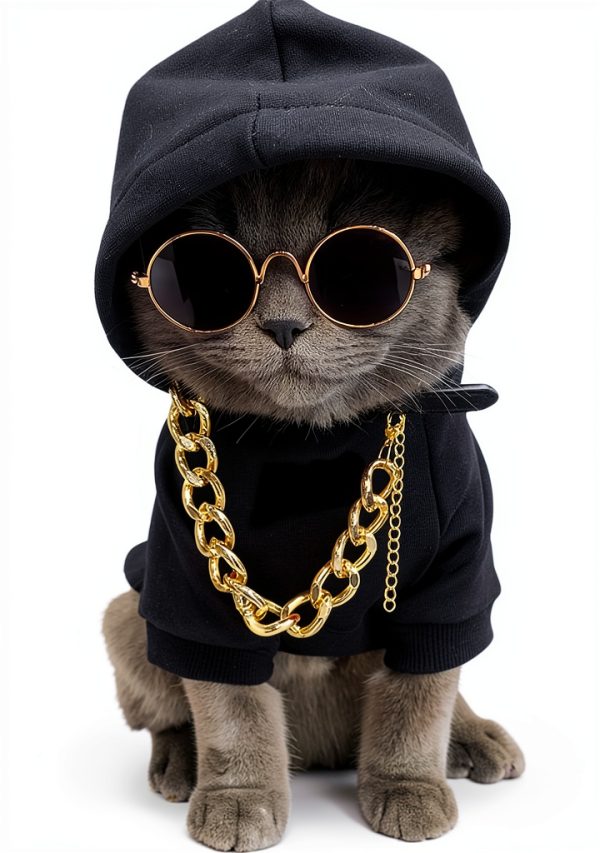 Dog Hoodie QWINEE 3-Piece Costume Set with Necklace & Sunglasses-0