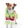 Dog Christmas Outfit Abbylike Green Hoodie with Hat XL-4