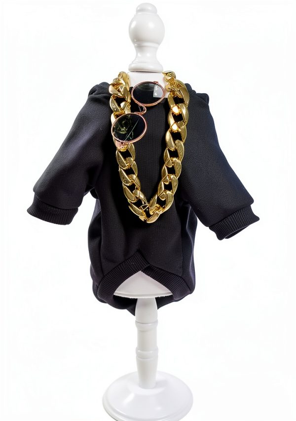 Dog Hoodie QWINEE 3-Piece Costume Set with Necklace & Sunglasses-2