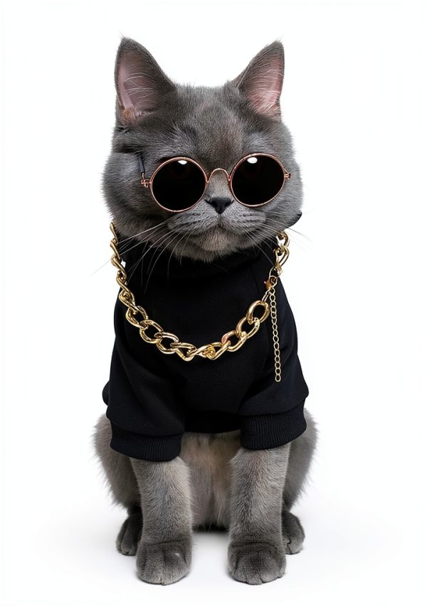 Dog Hoodie QWINEE 3-Piece Costume Set with Necklace & Sunglasses-1